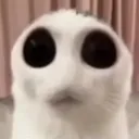 wide_eyed wide_eyed