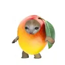 sad_mango