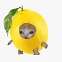 sad_lemon