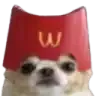 rtamcdog