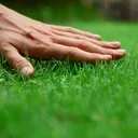TouchGrass