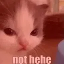 _hehe_