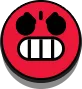 bsrage_pin