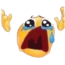 c_cryy c_cryy