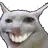 catSUS Discord emoji