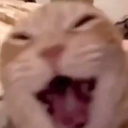 hsrt_wahhhhh custom emote from 𐙚 Hasrat ™ || Indian discord • socialize • Chilling • non-dating • VC • Gaming • Giveaways..!!𓂃♡