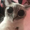 woaw