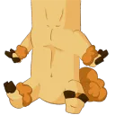 CondiDerp2