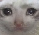 cri