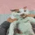 catwrap
