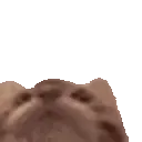 qnosesTasty