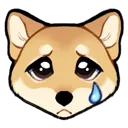shibainu_sad