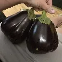 bobsballs