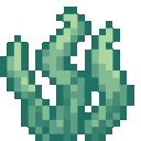 Ocean_seaweed
