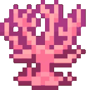 Ocean_coral