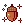 Fall_acorn