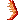 Ocean_shrimp
