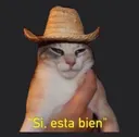 siestabien