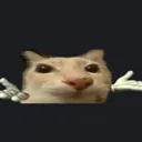 yonose