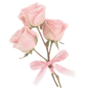 Three pale pink roses tied together with a matching pink ribbon.