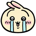 Usagi_sob