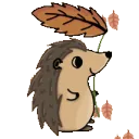 2025sept_hedgehog 2025sept_hedgehog