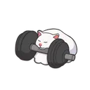 Cat_gym