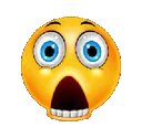 whattheflip whattheflip