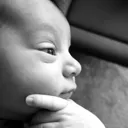 fetus