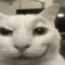 cat_smirk