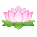 lotus