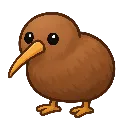 kiwi