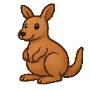 kangaroo