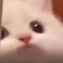 unBla