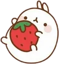 MStrawberry