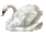 d_swan