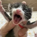 AAAAA