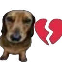 :dogbun: