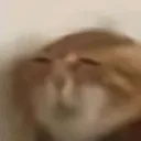 __