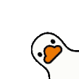229948ducky