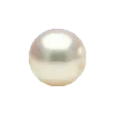 d_whitepearl