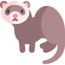 Ferret