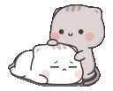 cute_cats_patting