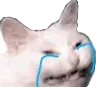 HappyCrying