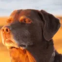 Screenshot20250930132445