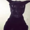 Evil_Larry