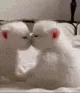 cat_kiss3