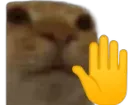 Halt