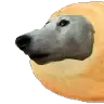 puppersplonkie