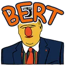 BERT250